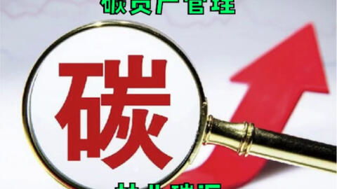 碳資產(chǎn)管理入門 到底好做嗎？買碳、賣碳、投資碳究竟怎么玩？